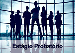 Estágio Probatório Docente e TA